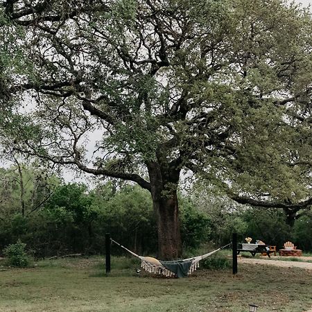 ניו בראונפלס The Maverick: A-Frame W/ Hammock And Tree Top View מראה חיצוני תמונה