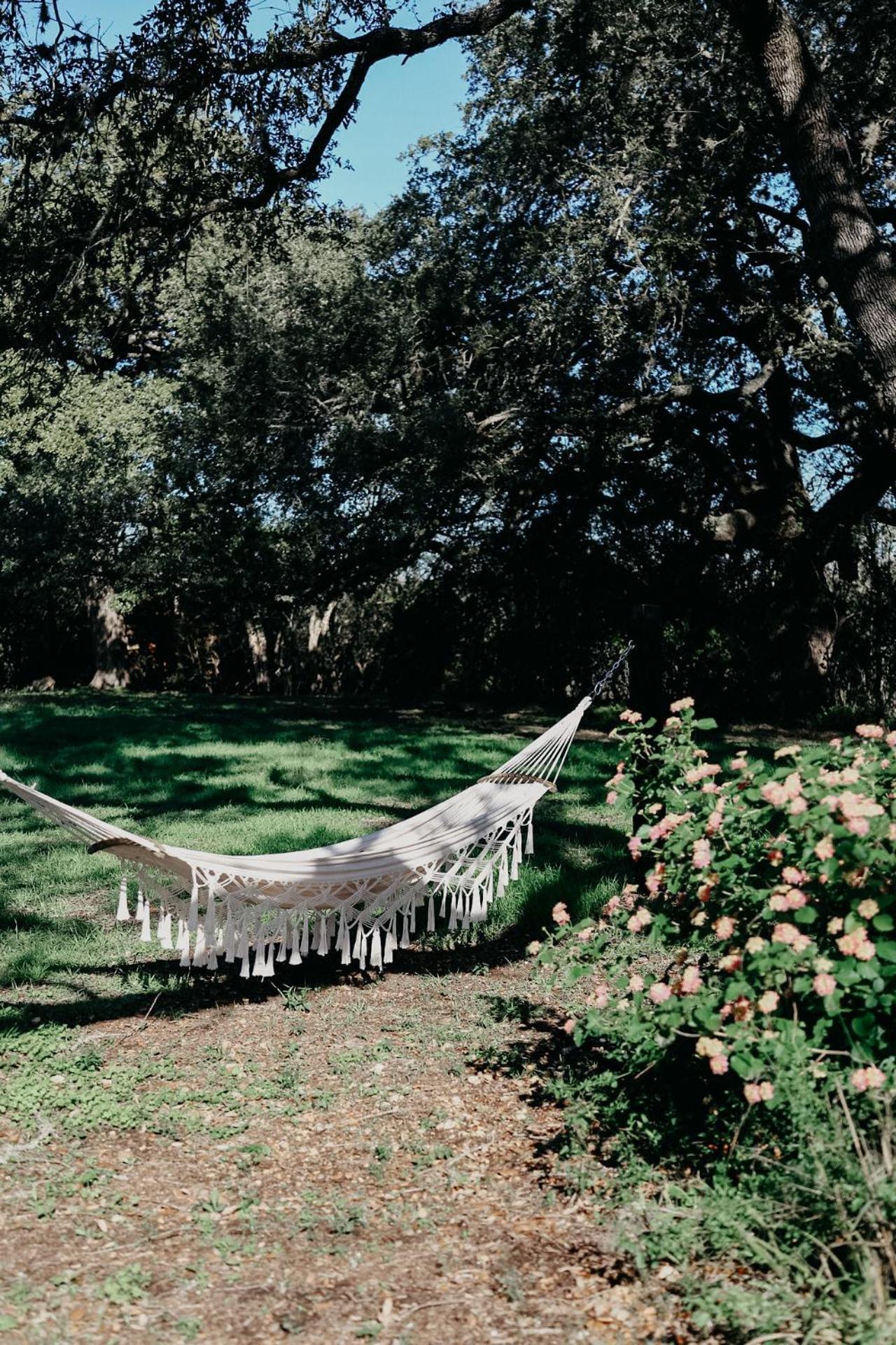 ניו בראונפלס The Maverick: A-Frame W/ Hammock And Tree Top View מראה חיצוני תמונה